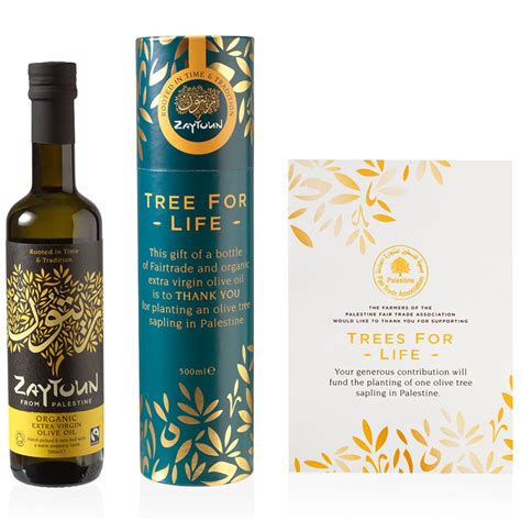 olive tree zaytoun|Zaytoun .